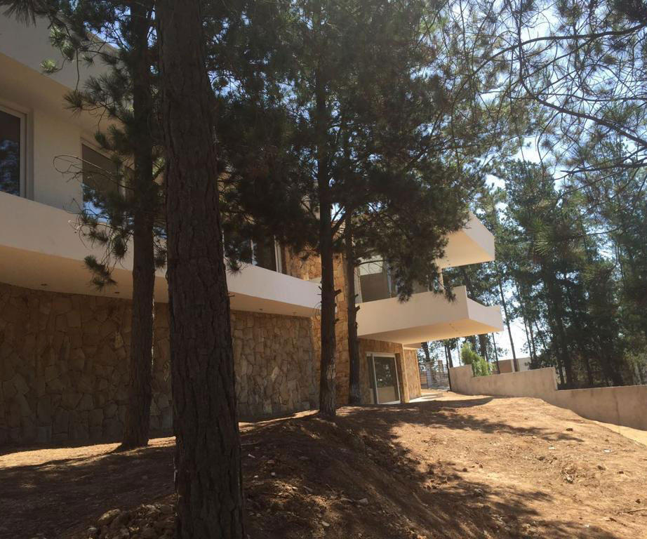 Proyecto-Carrasco-2
