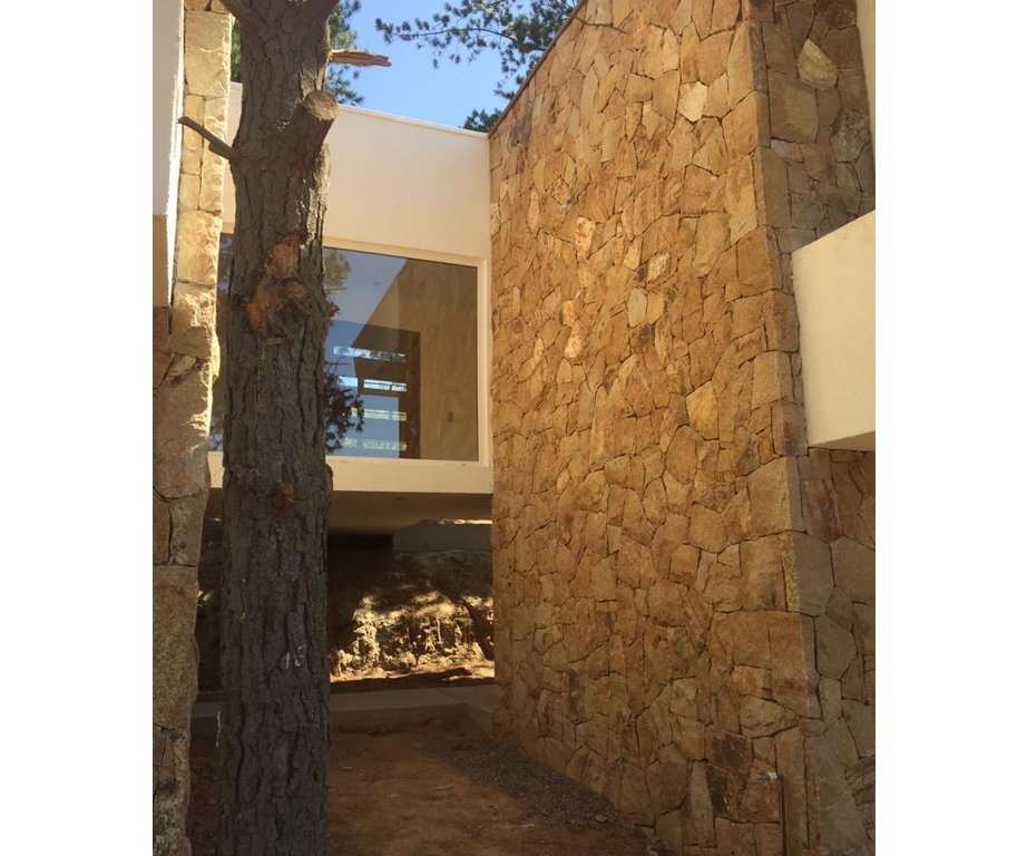 Proyecto-Carrasco-3